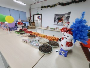 “多國(guó)風(fēng)采、別具風(fēng)格”的的圣誕節(jié)活動(dòng)